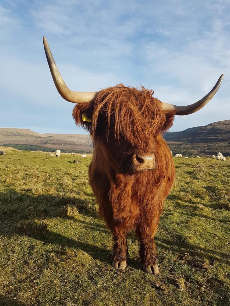 Trotternish B&B Portree Extérieur photo