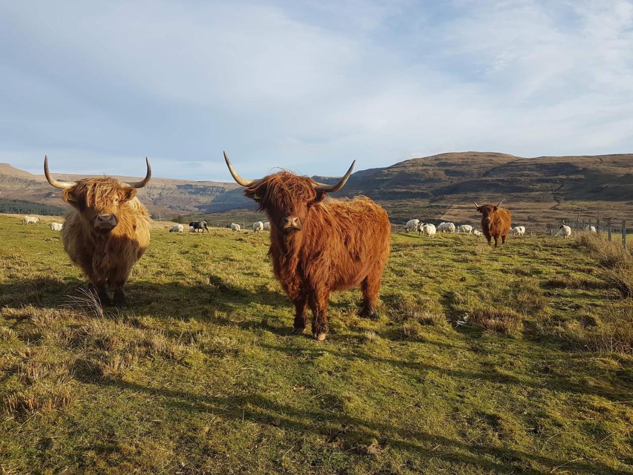 Trotternish B&B Portree Extérieur photo